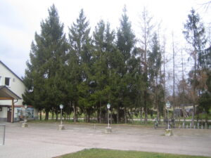 Eingangsbereich Sportheim vorher